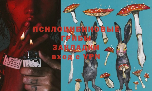 гидропоника Алзамай