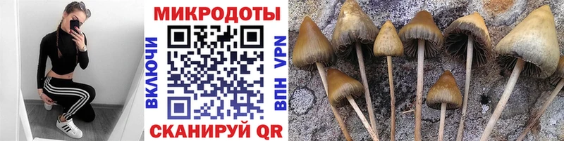 магазин продажи наркотиков  Комсомольск  Псилоцибиновые грибы мицелий 